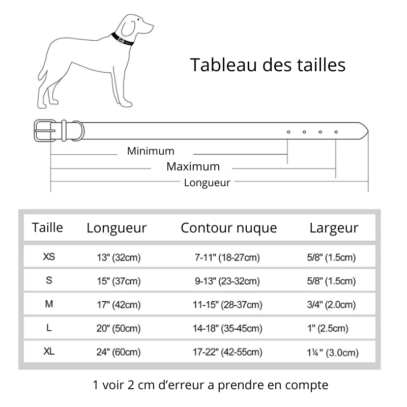 Collier Personnalisable Résistant Gros Chien