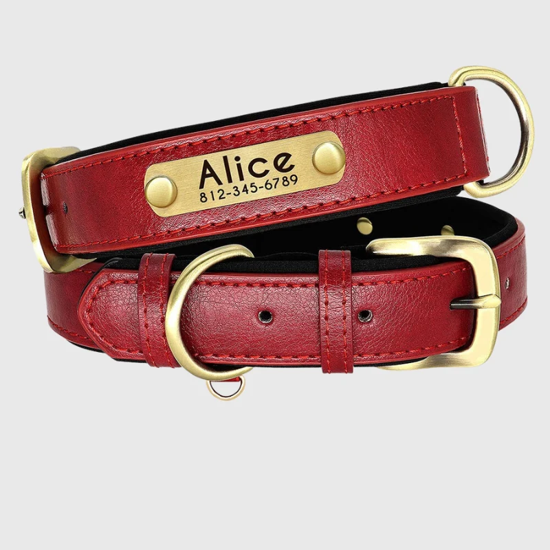 Collier Personnalisable Résistant Gros Chien