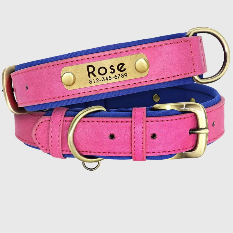 Collier Personnalisable Résistant Gros Chien