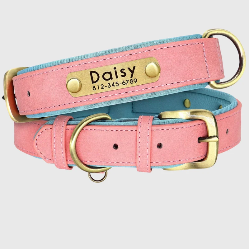 Collier Personnalisable Résistant Gros Chien