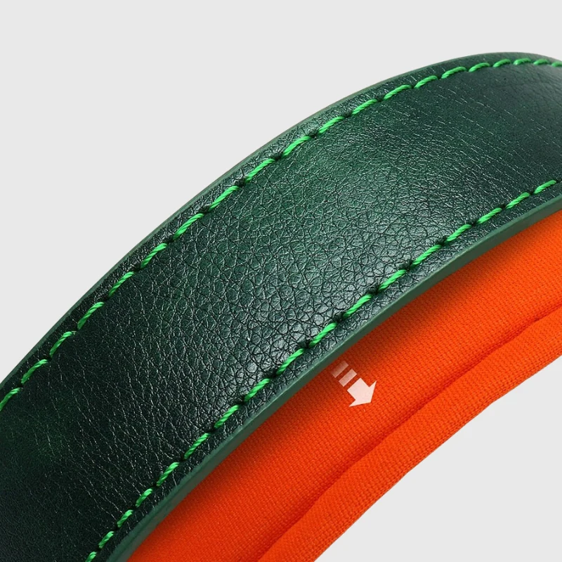 Collier Personnalisable Résistant Gros Chien