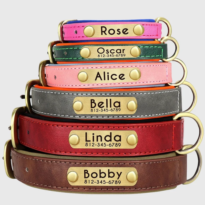 Collier Personnalisable Résistant Gros Chien