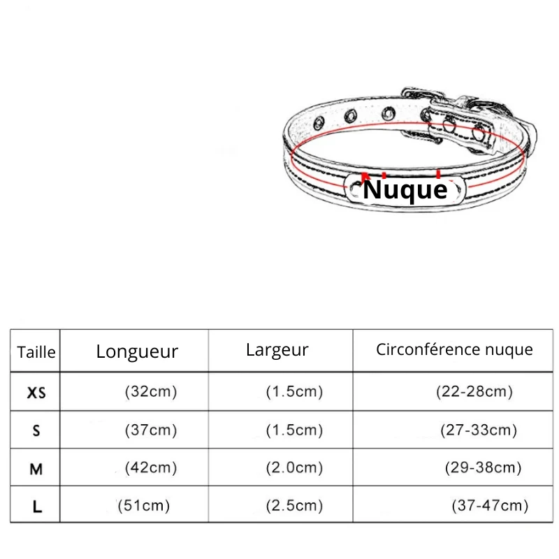 Collier Médaille Personnalisée Nylon Gros Chien