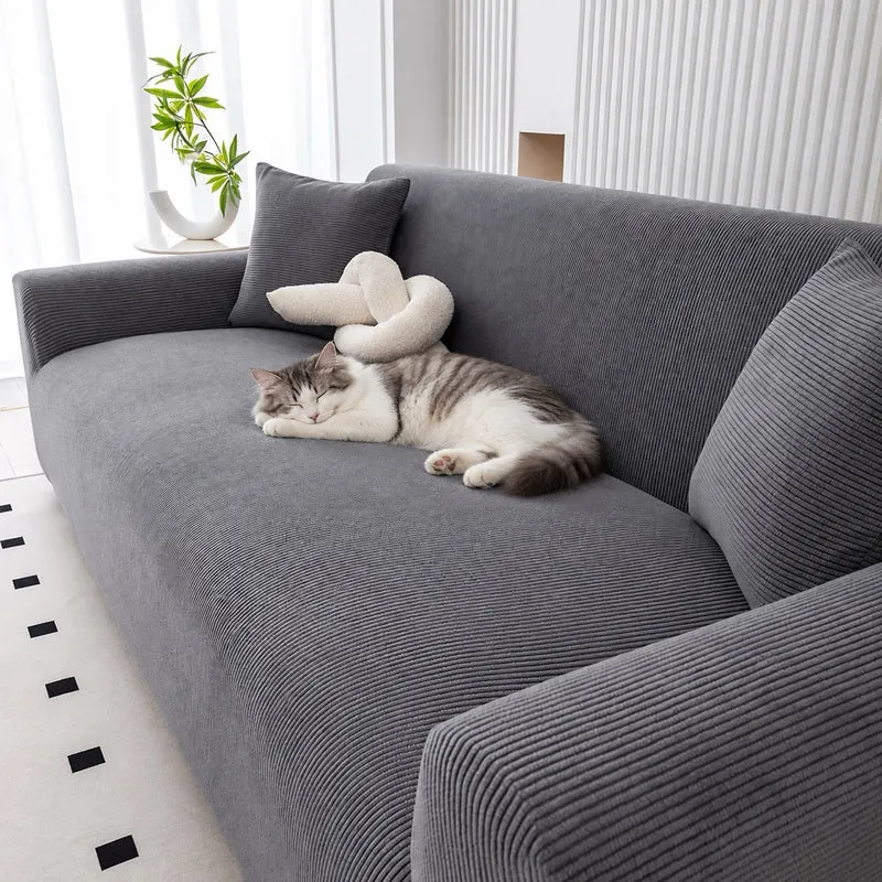 Housse de canapé chat extensible velours – Côtelia