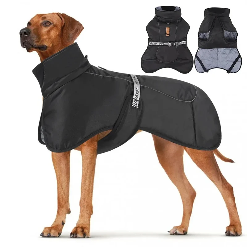 Manteau chien hiver