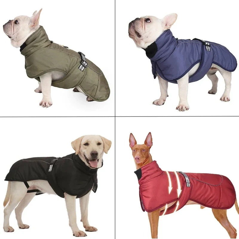 Manteau chien hiver