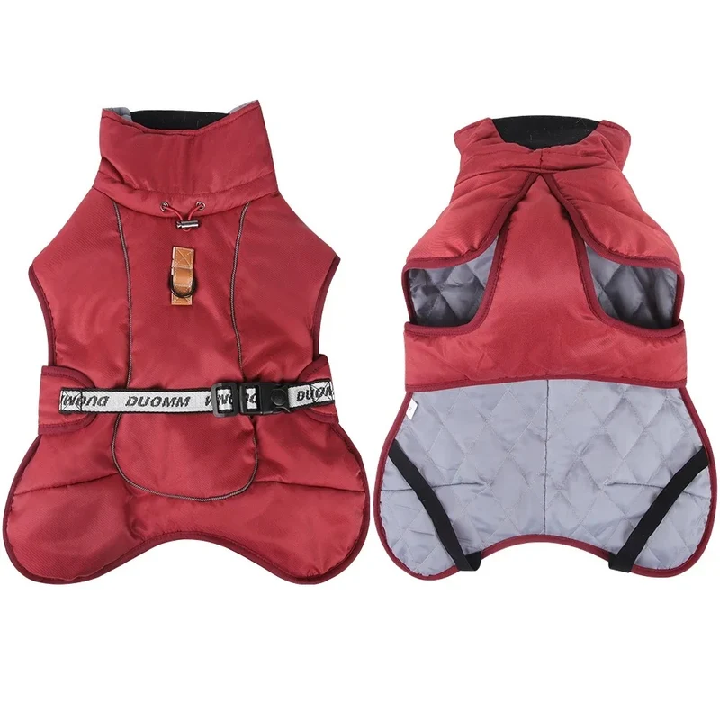 Manteau chien hiver