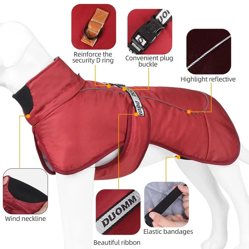 Manteau chien hiver