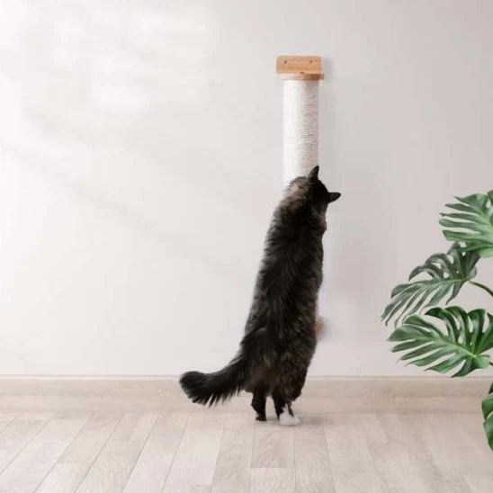 Arbre à chat mural | Sisal protecteur