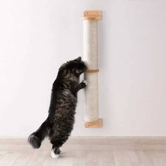 Arbre à chat mural | Sisal protecteur