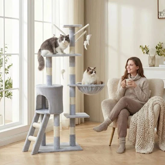 ARBRE A CHAT | L’Explorateur Vertical