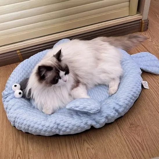 TAPIS REFRIGERANT CHAT | Poisson Rafraîchissant