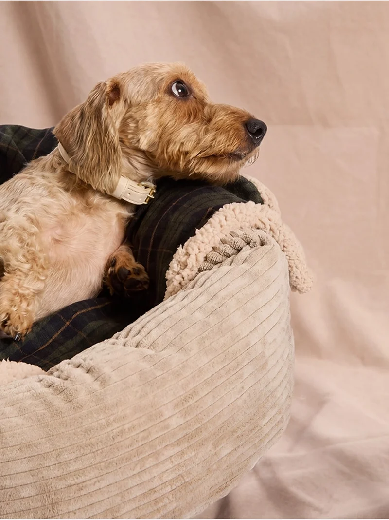 Plaid pour chien - Tartan vert et sherpa - Cafide