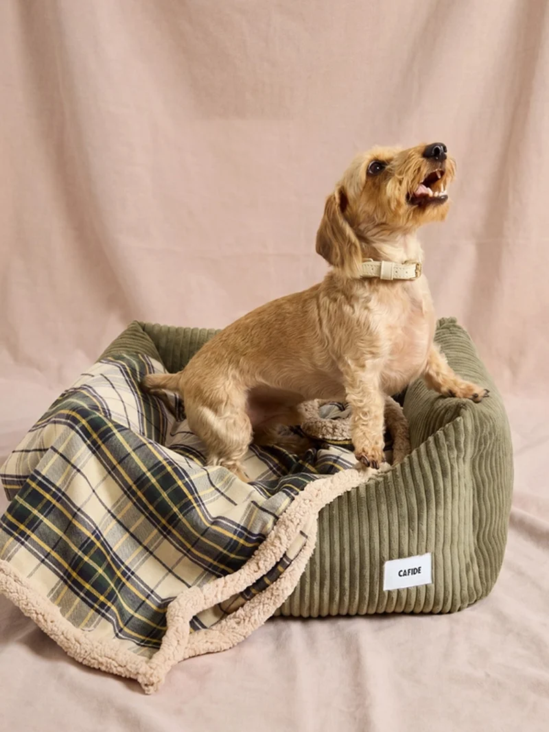 Plaid pour chien - Tartan beige et sherpa - Cafide