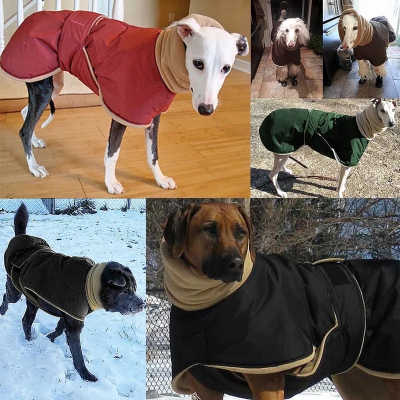 Manteau chien col fourrure