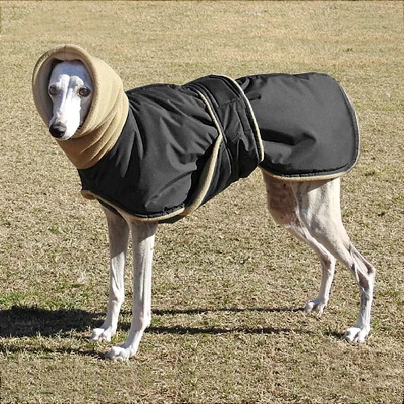 Manteau chien col fourrure