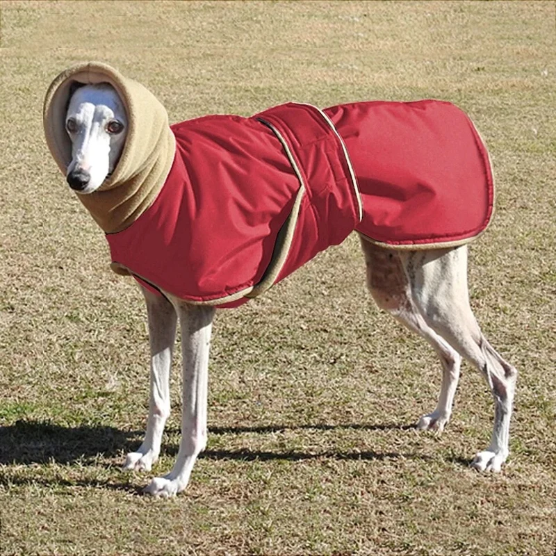 Manteau chien col fourrure
