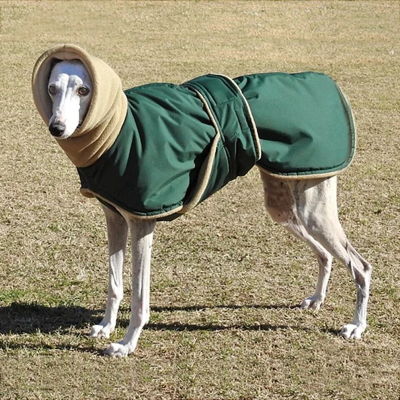 Manteau chien col fourrure