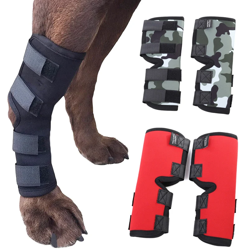 Attelle rigide chien
