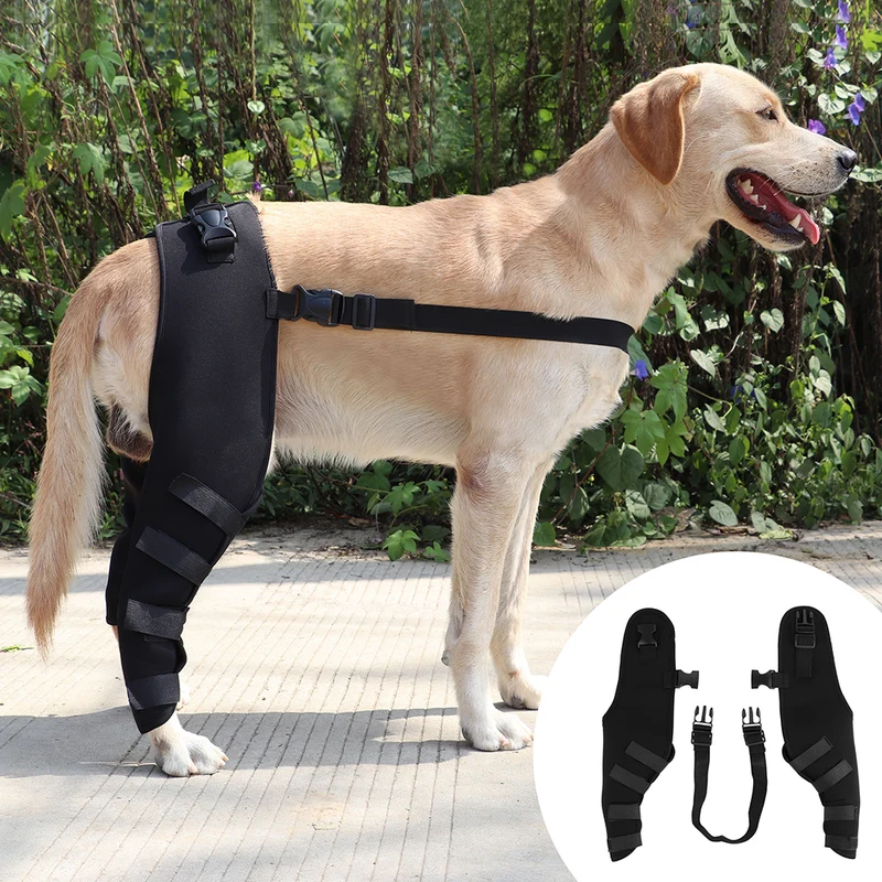 Orthèse chien patte arrière