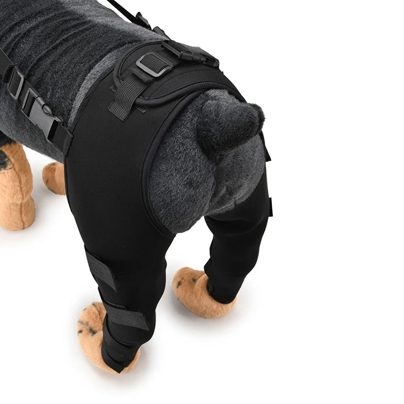 Orthèse chien patte arrière
