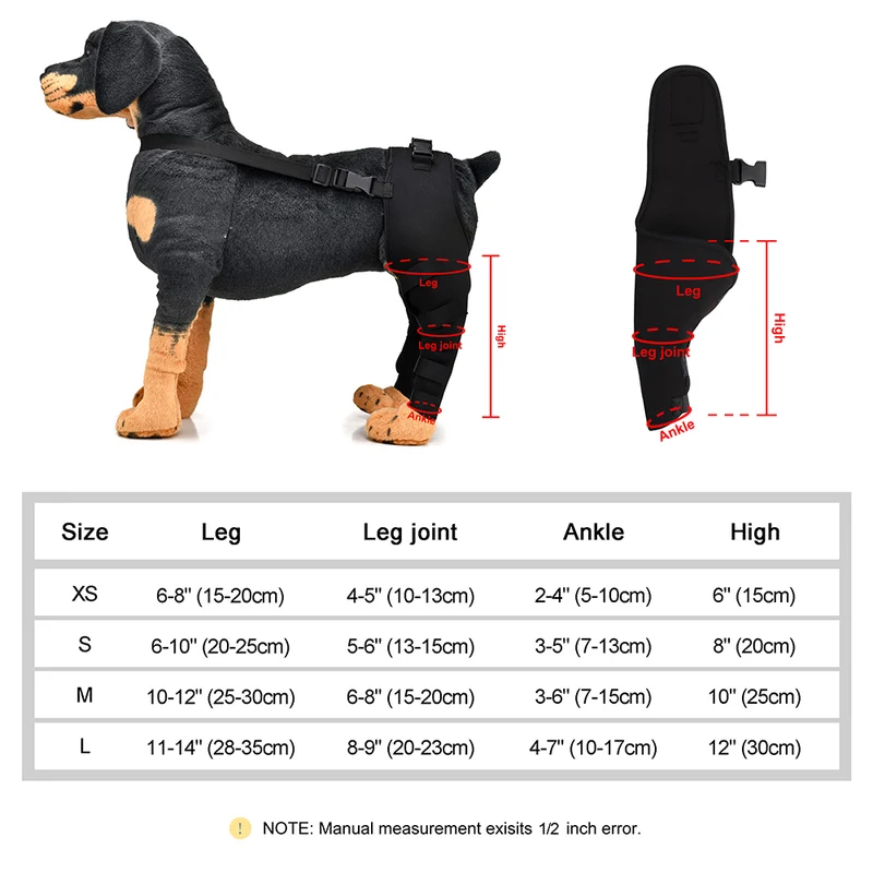 Orthèse chien patte arrière