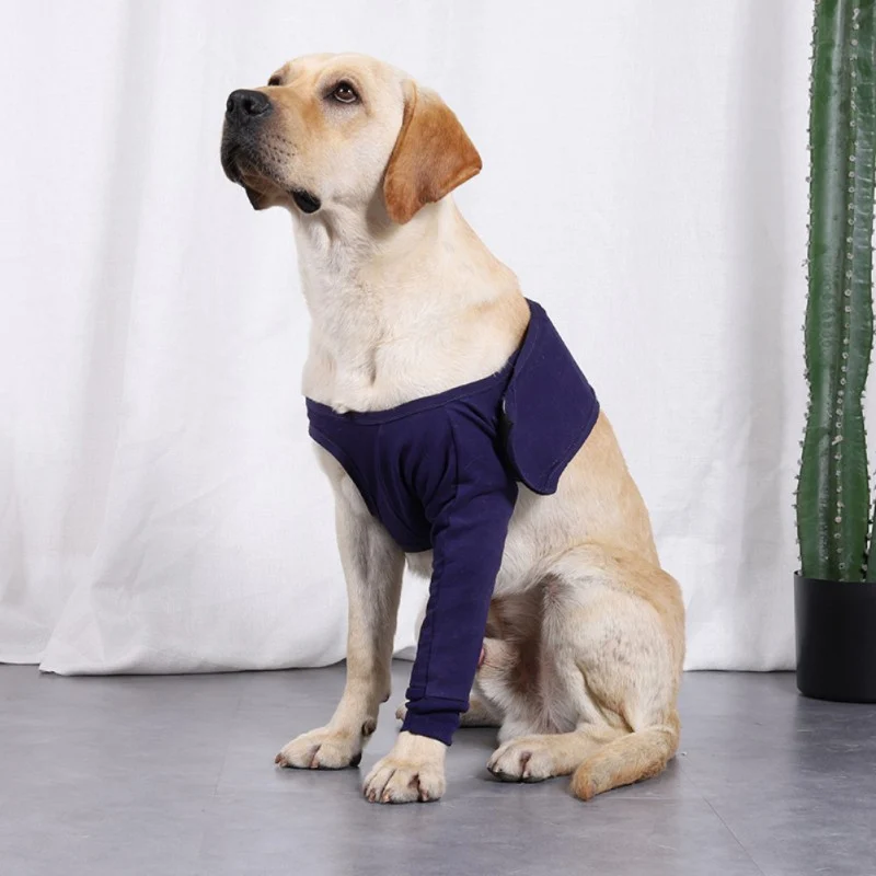 Attelle chien patte avant