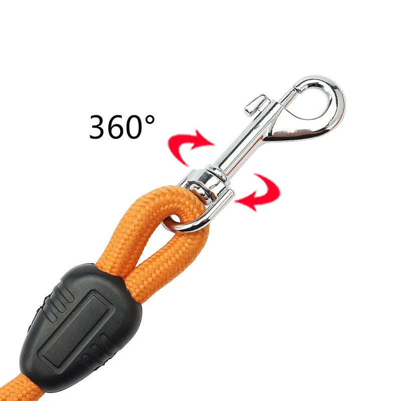 Longe pour chien 15m