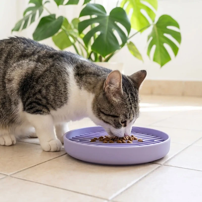 Gamelle anti glouton chat en siliconne - SlowFood