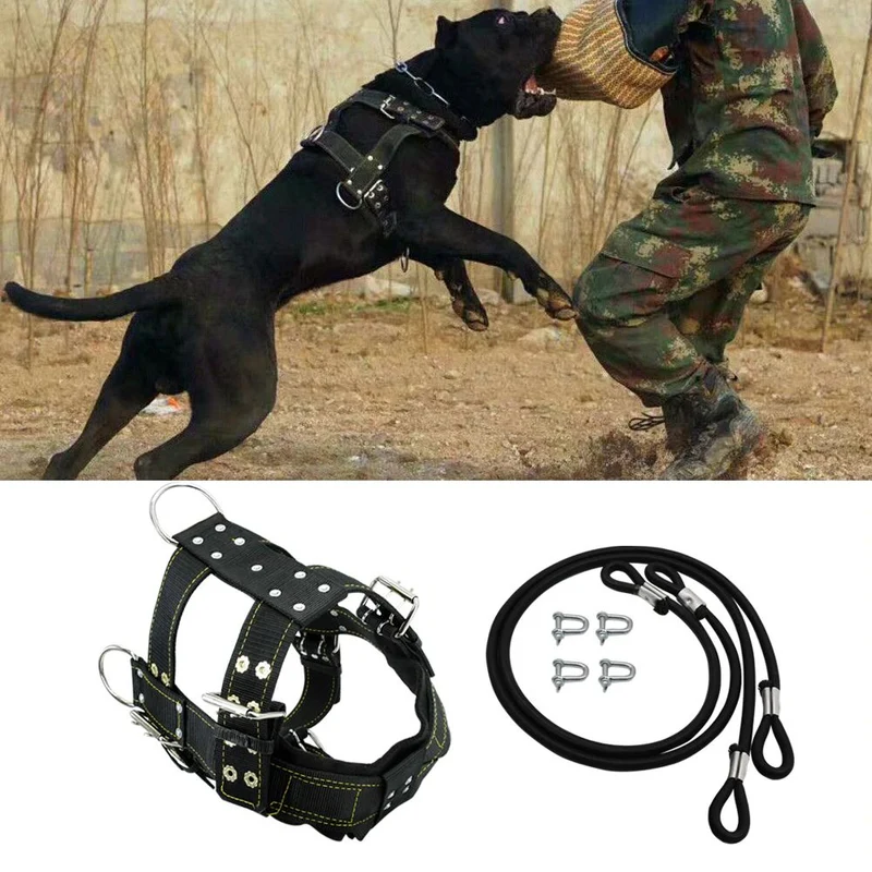 HARNAIS DE TRACTION POUR GROS CHIEN