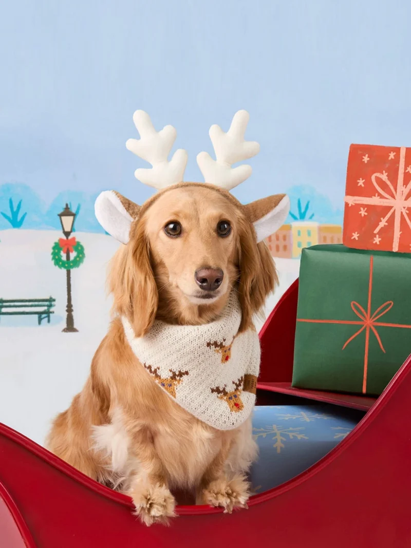 Bandana pour chien en tricot - Reindeer 🦌 - The Foggy Dog