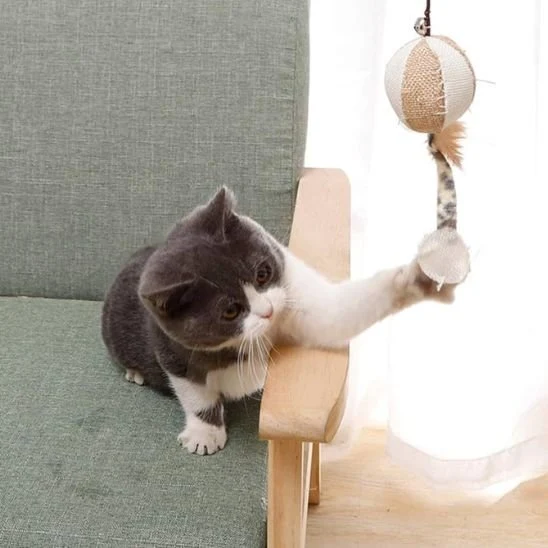 Jouet chat | Plume Folle