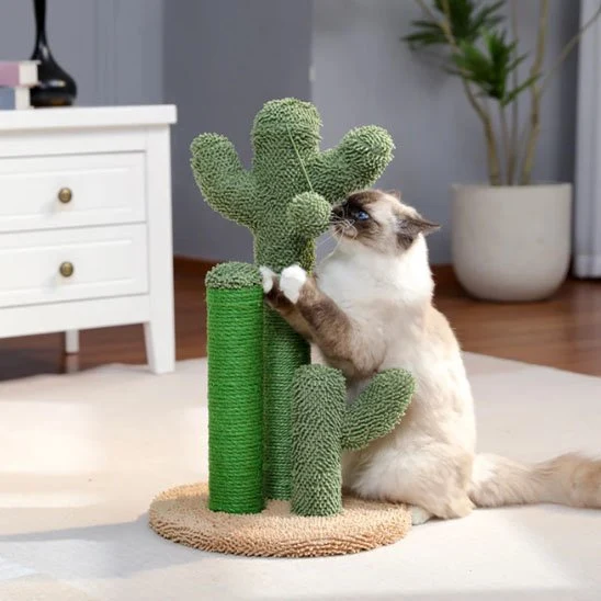 Arbre à chat cactus