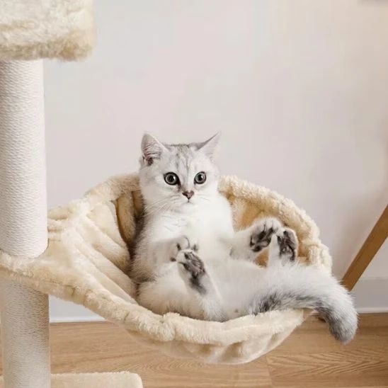 hamac pour chat arbre à chat