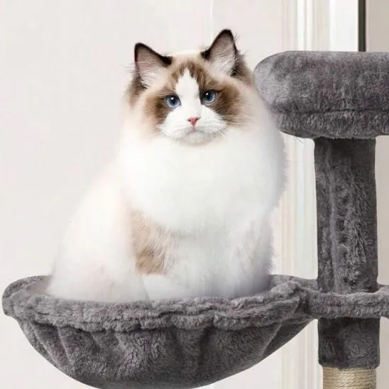 hamac pour chat arbre à chat