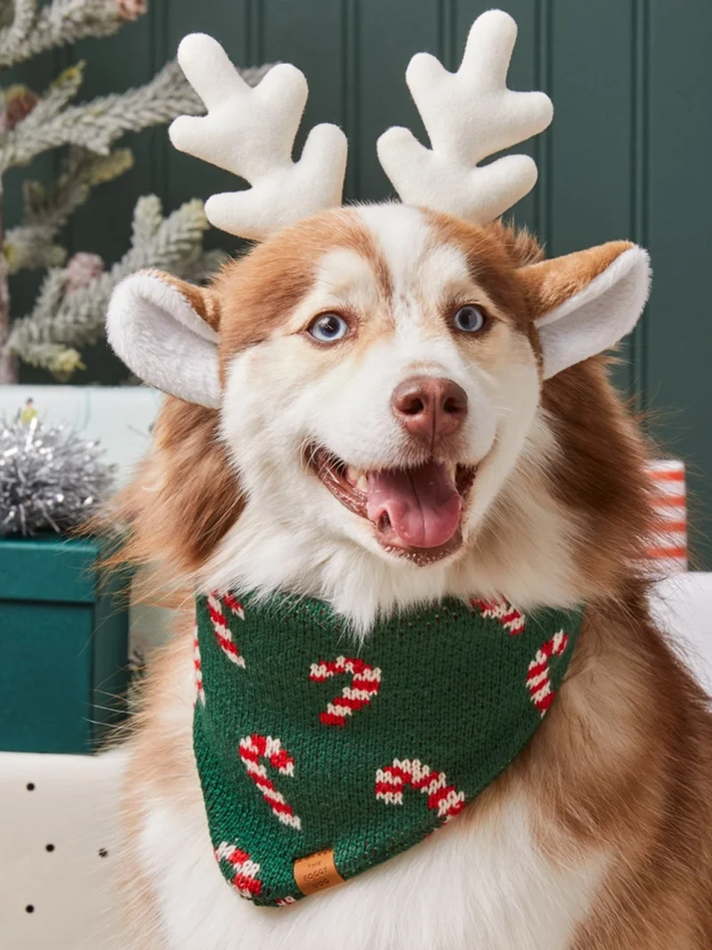 Bandana pour chien en tricot - Candy Cane ☃️ - The Foggy Dog