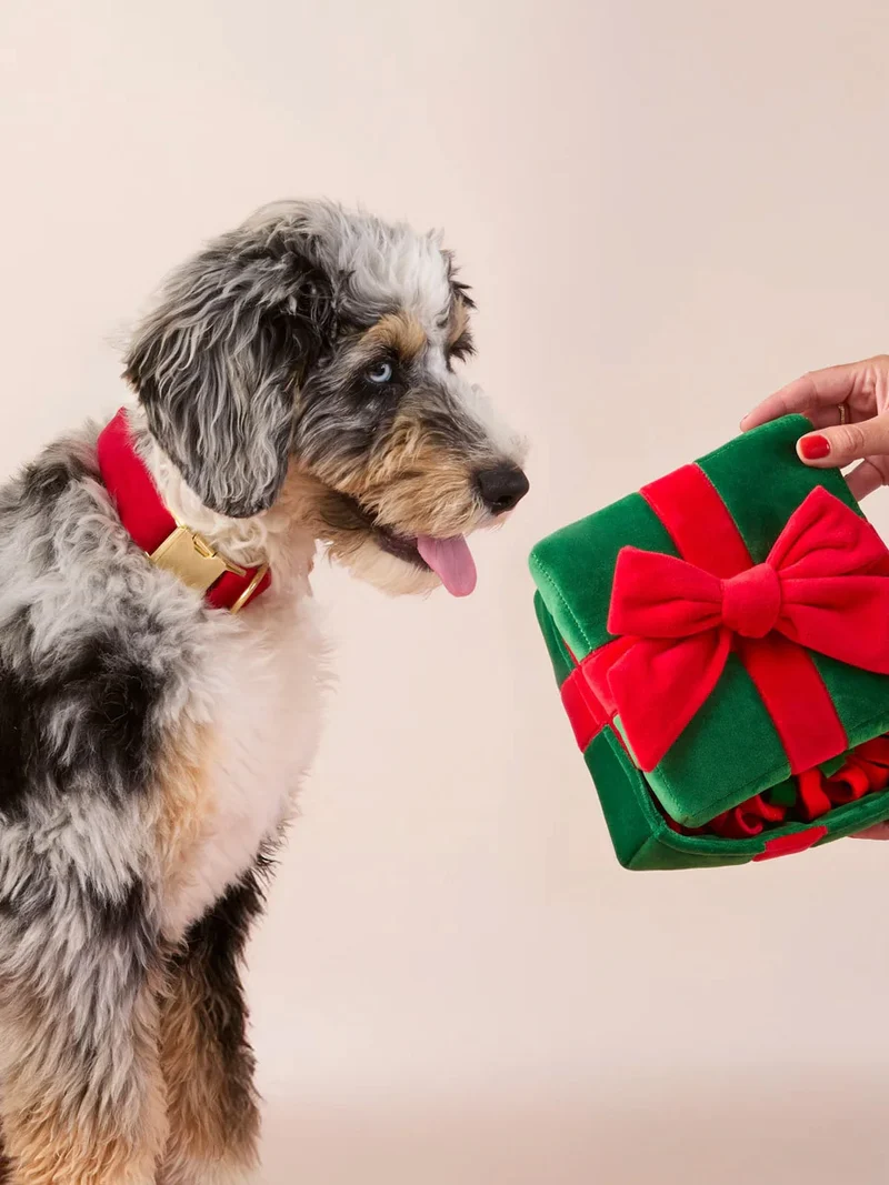 Jouet de fouille pour chien - Cadeau de Noël 🎁 - The Foggy Dog