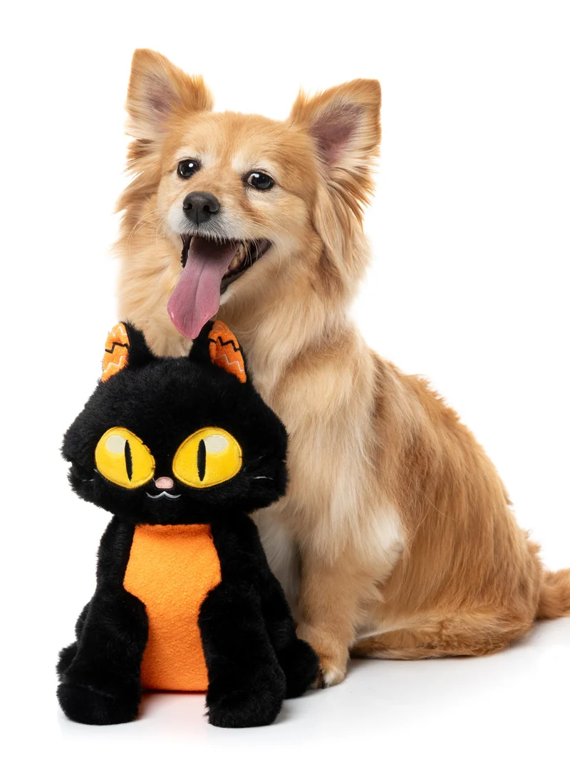 Peluche d'halloween pour chien - Chat noir 🐈‍⬛ - FuzzYard