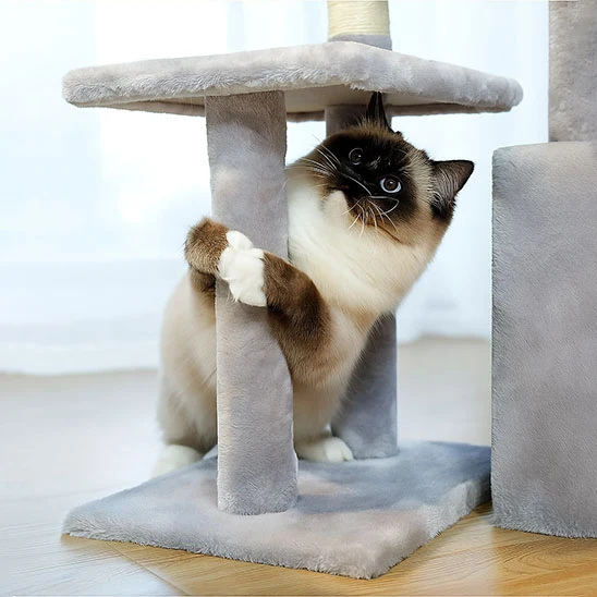 PETIT ARBRE A CHAT GRIS