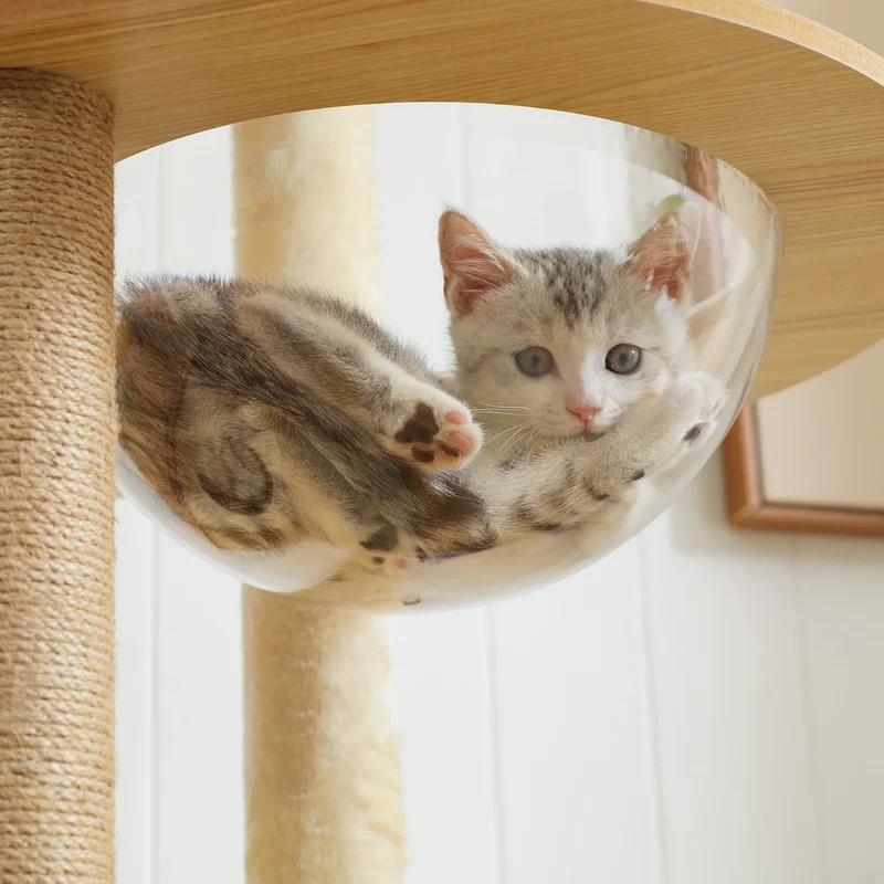 Arbre à chat bois XXL design scandinave avec bulles transparentes – Royaume Félin