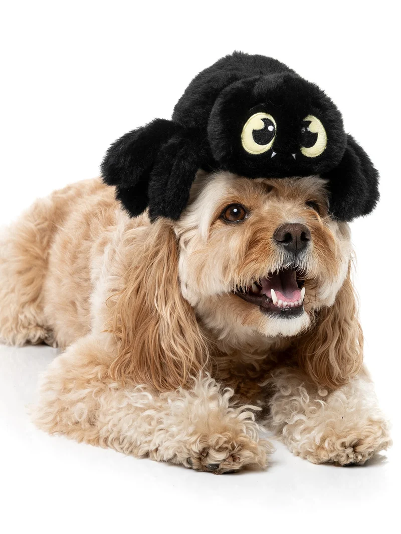 Peluche d'halloween pour chien - Tarentule rouge 🕷️ - FuzzYard