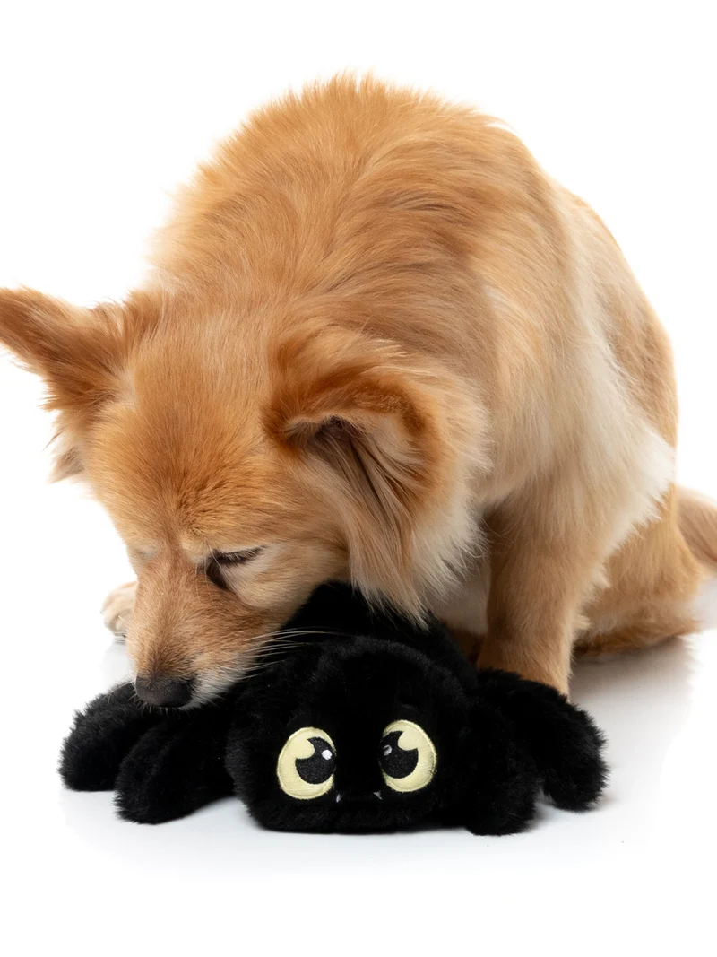 Peluche d'halloween pour chien - Tarentule rouge 🕷️ - FuzzYard