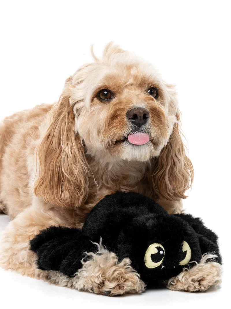 Peluche d'halloween pour chien - Tarentule rouge 🕷️ - FuzzYard
