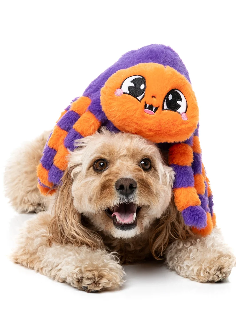 Peluche d'halloween pour chien - Tarantine l'araignée 🕷️ - FuzzYard