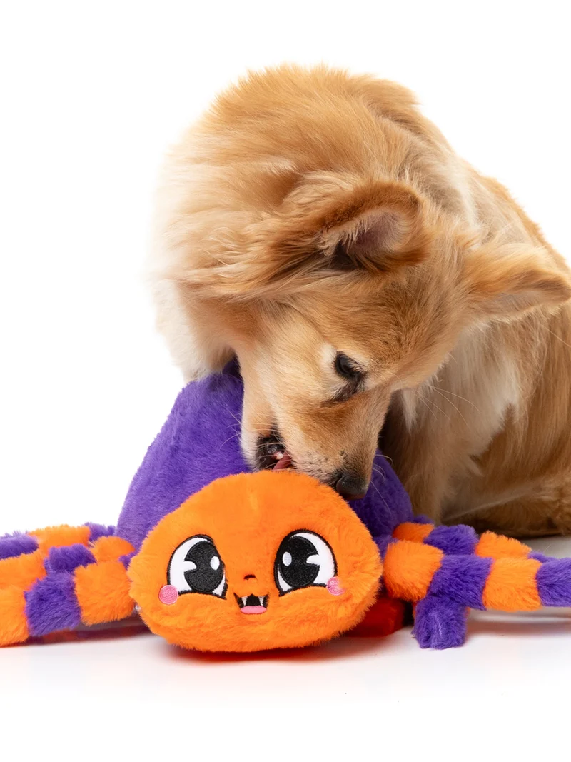 Peluche d'halloween pour chien - Tarantine l'araignée 🕷️ - FuzzYard