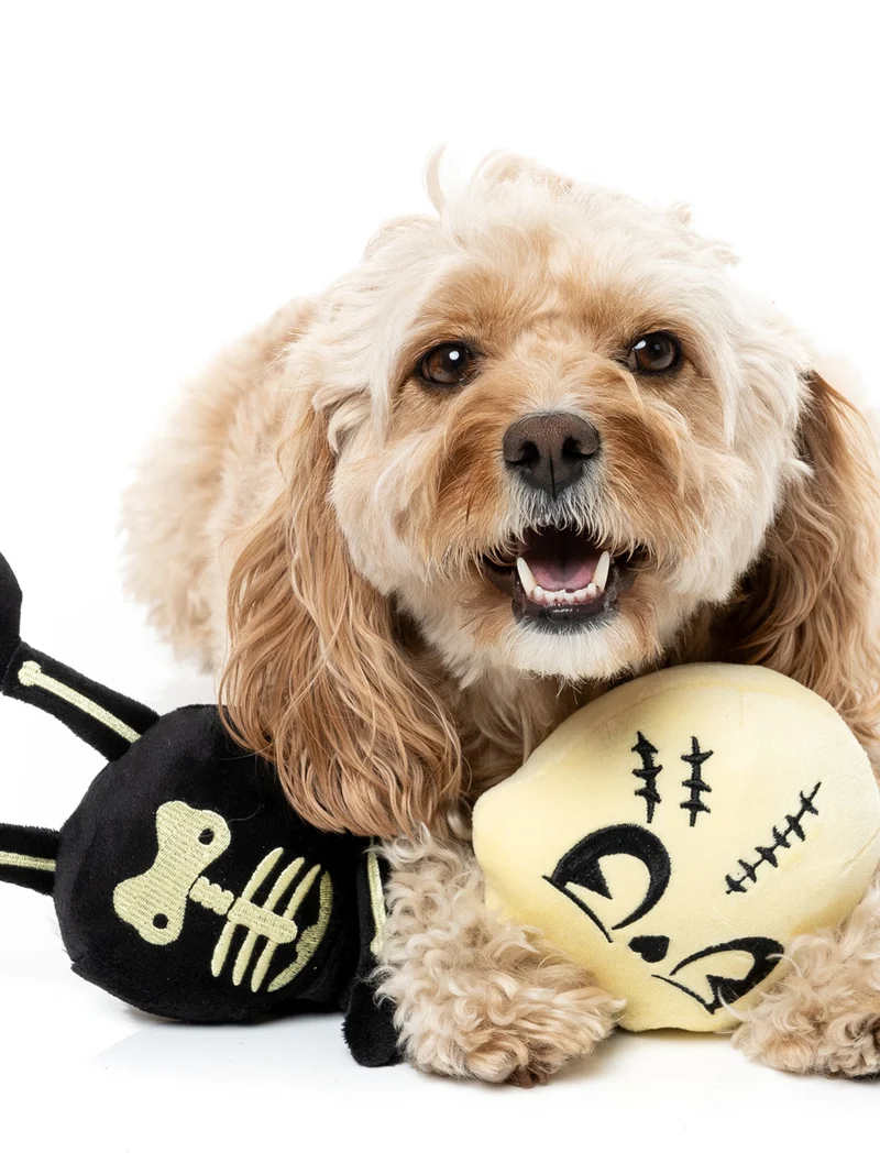 Peluche d'halloween pour chien - Squelette étirable 💀 - FuzzYard