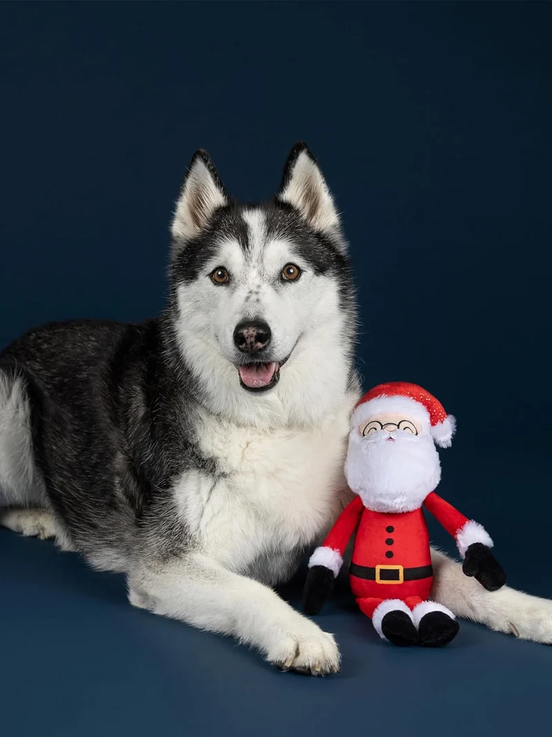 Peluche de Noël pour chien - Père Noël 🎅 - Fringe Petshop