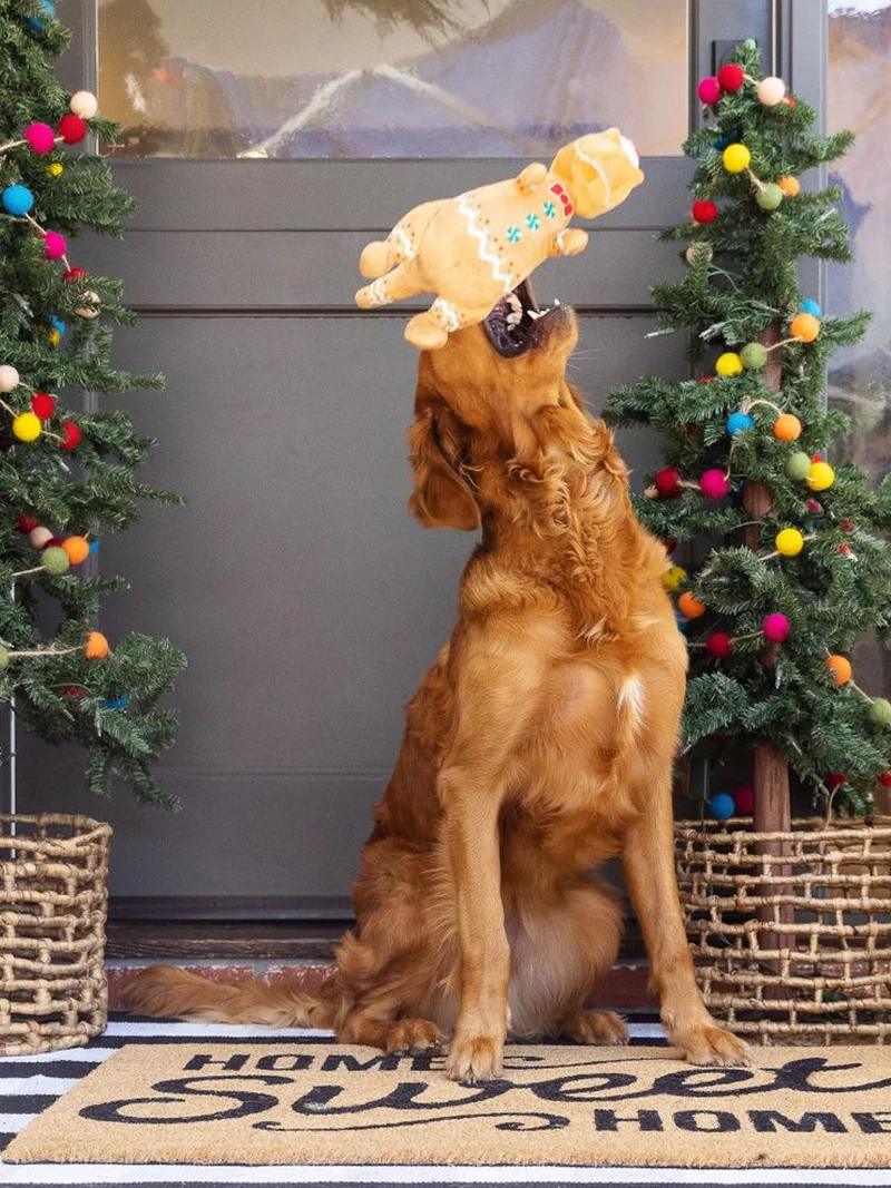Peluche de Noël pour chien - Cookie-saurus 🦖🍪 - Fringe Petshop
