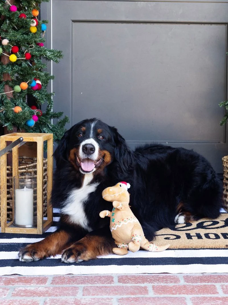 Peluche de Noël pour chien - Cookie-saurus 🦖🍪 - Fringe Petshop