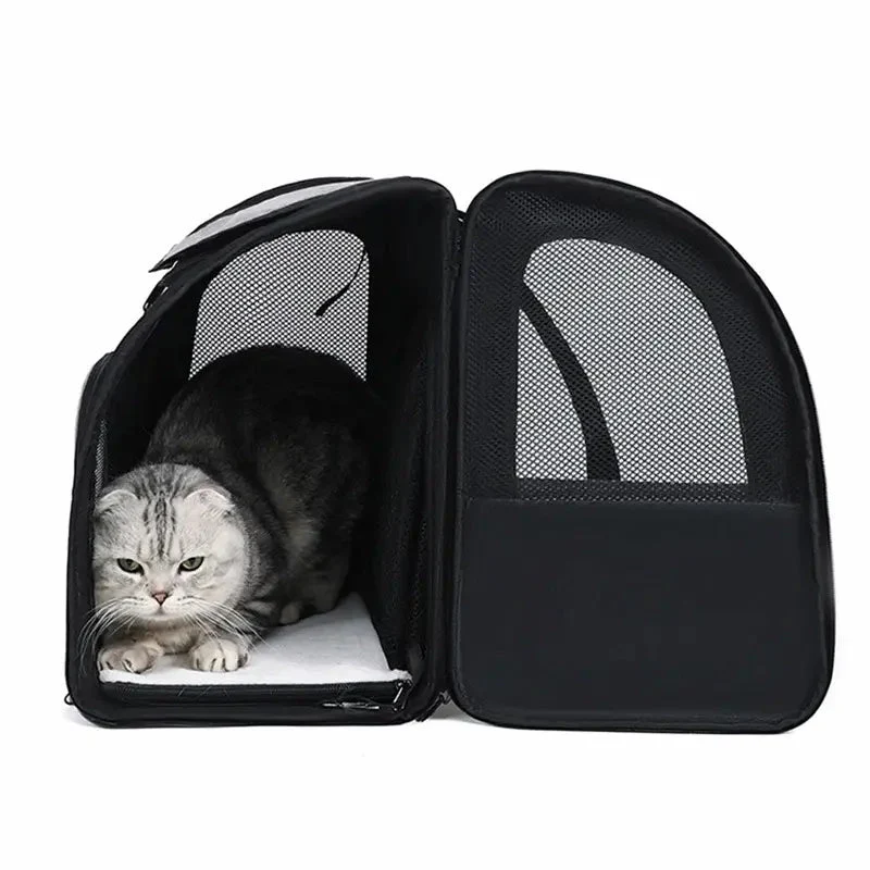 Sac à dos chat extensible avec abri - Confort total | MiaouMove